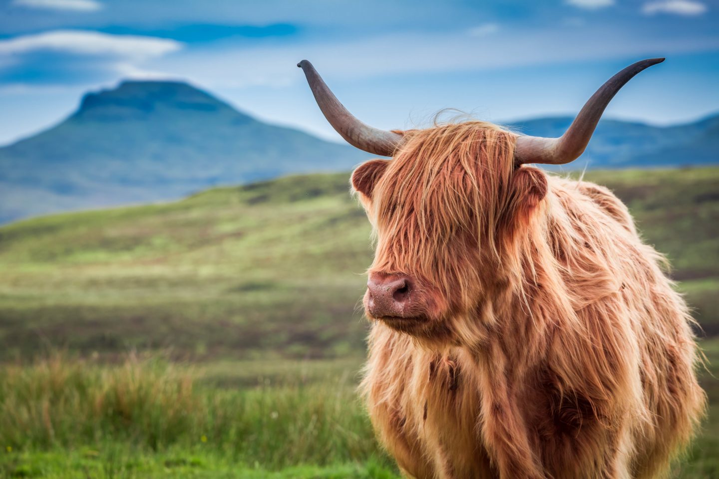 Scottish Highlands Weekend Cyclotourism: Lochs, Glens and Highland Adventure